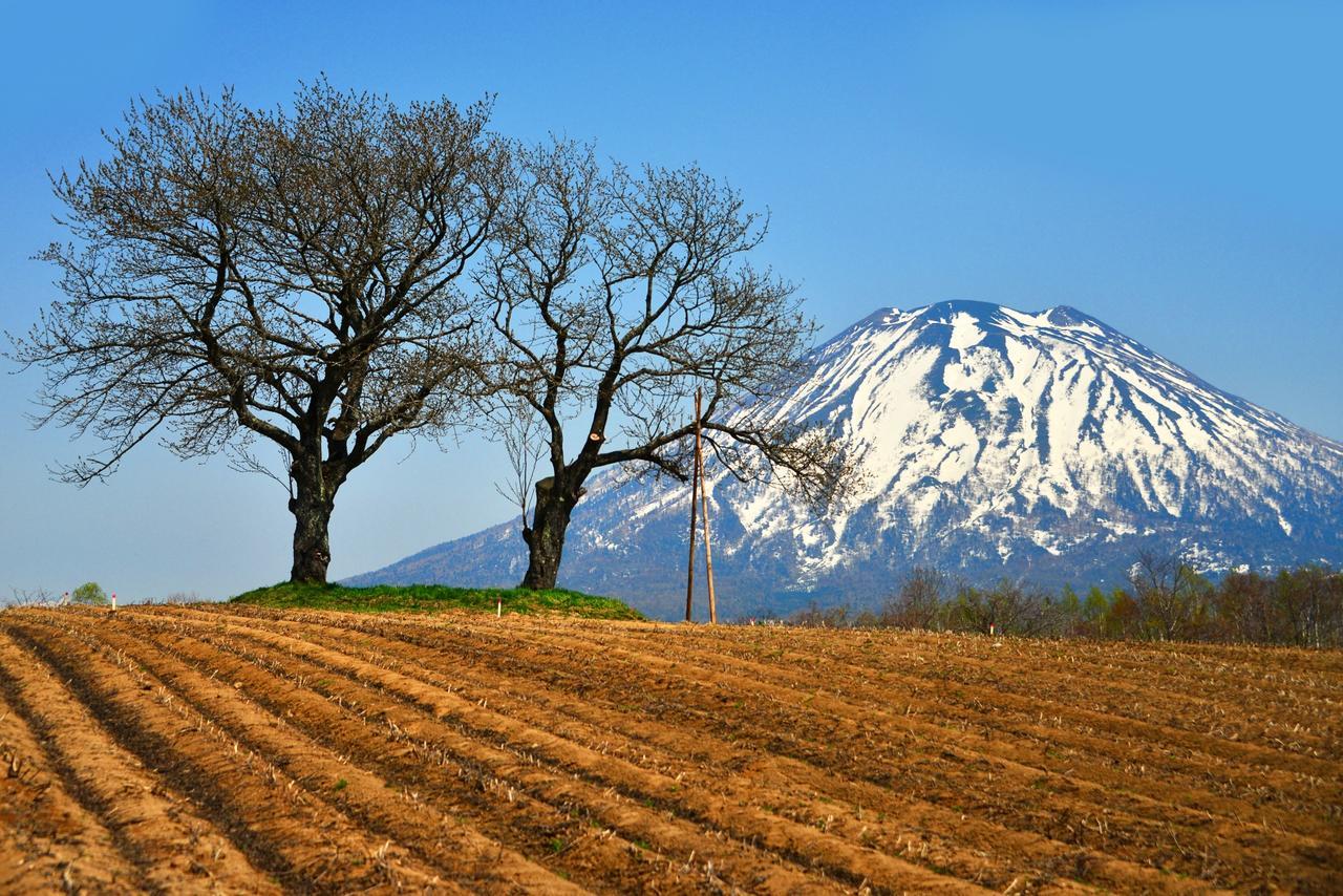 Hotel Niseko Alpen Kutchan Eksteriør bilde